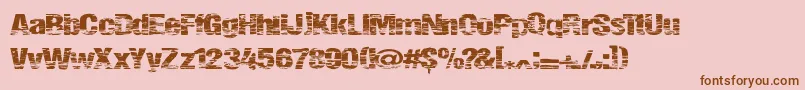 Summerfestival Font – Brown Fonts on Pink Background