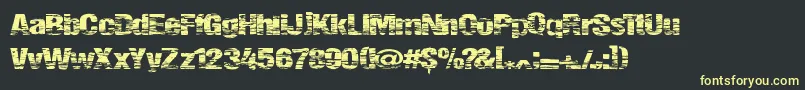 Summerfestival Font – Yellow Fonts on Black Background
