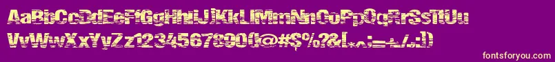 Summerfestival Font – Yellow Fonts on Purple Background