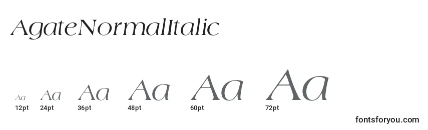 Размеры шрифта AgateNormalItalic