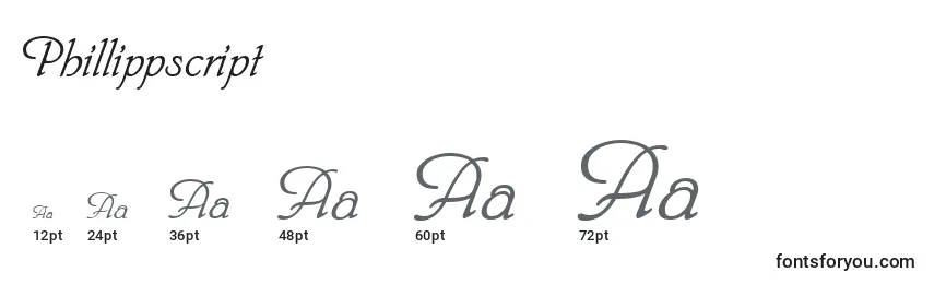 Phillippscript Font Sizes