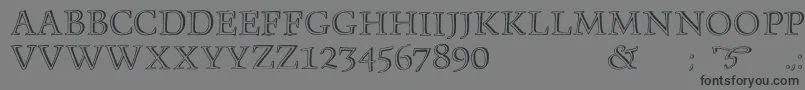 Monument Font – Black Fonts on Gray Background