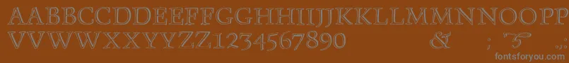 Monument Font – Gray Fonts on Brown Background