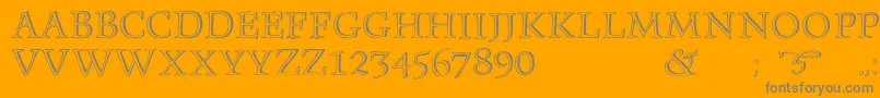 Monument Font – Gray Fonts on Orange Background