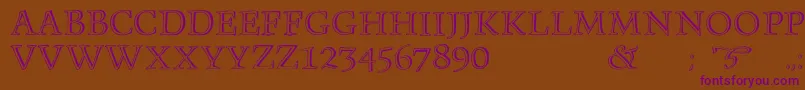 Monument Font – Purple Fonts on Brown Background