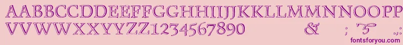 Monument Font – Purple Fonts on Pink Background