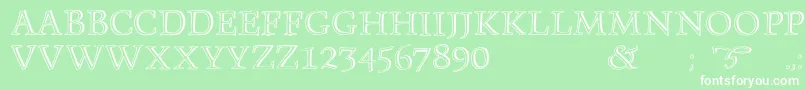 Monument Font – White Fonts on Green Background