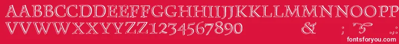 Monument Font – White Fonts on Red Background