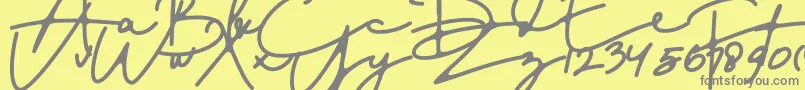 DreamOnly-Schriftart – Graue Schriften auf gelbem Hintergrund