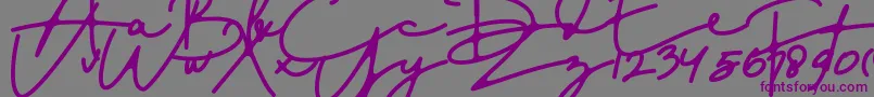 DreamOnly Font – Purple Fonts on Gray Background