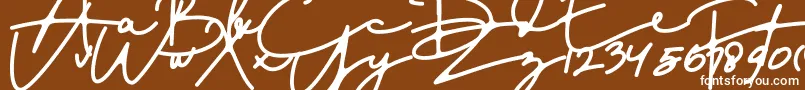 DreamOnly Font – White Fonts on Brown Background