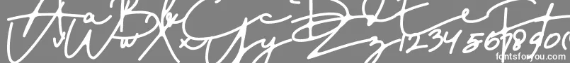 DreamOnly Font – White Fonts on Gray Background