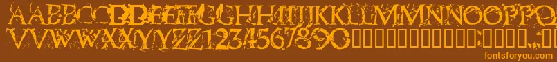 Blasphemy Font – Orange Fonts on Brown Background