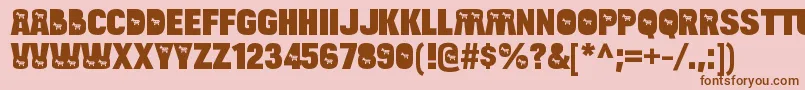 BulltoaddemocratRegular Font – Brown Fonts on Pink Background