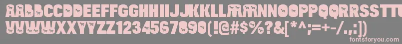 フォントBulltoaddemocratRegular – 灰色の背景にピンクのフォント