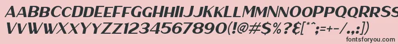 HaarlemSansItalic Font – Black Fonts on Pink Background