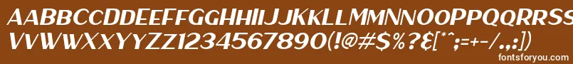 HaarlemSansItalic Font – White Fonts on Brown Background