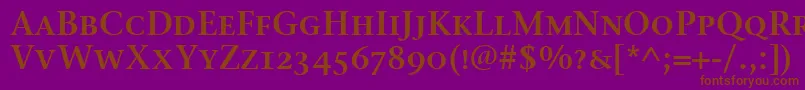 Czcionka StoneSerifSemScItcTtSemi – brązowe czcionki na fioletowym tle