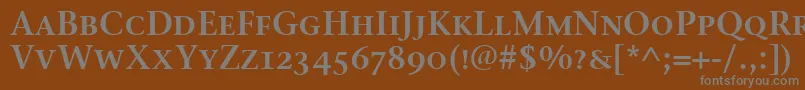 StoneSerifSemScItcTtSemi Font – Gray Fonts on Brown Background