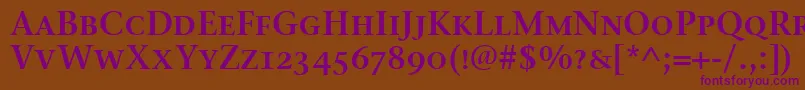 StoneSerifSemScItcTtSemi Font – Purple Fonts on Brown Background