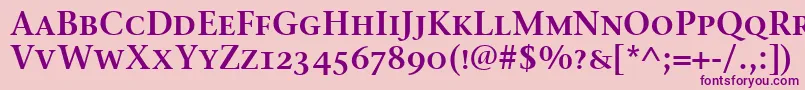 StoneSerifSemScItcTtSemi Font – Purple Fonts on Pink Background