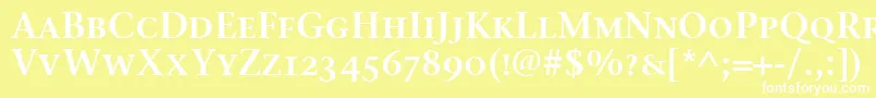 StoneSerifSemScItcTtSemi Font – White Fonts on Yellow Background