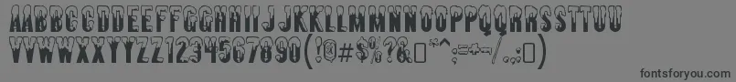 AlmontesnowRegular Font – Black Fonts on Gray Background