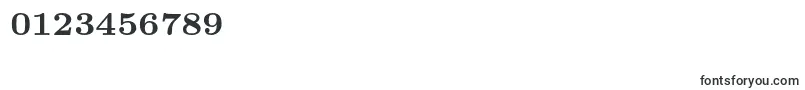 Lmroman7Bold Font – Fonts for Numbers and Digits