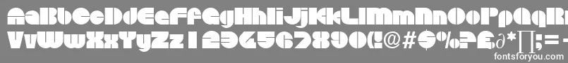 DiscoDb Font – White Fonts on Gray Background