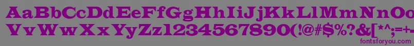 Шрифт Indubitablynf – фиолетовые шрифты на сером фоне