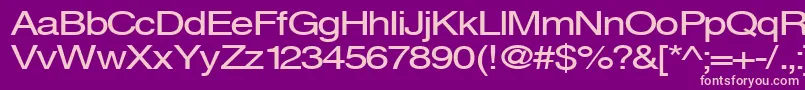 Svenings Font – Pink Fonts on Purple Background