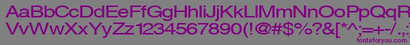 Svenings Font – Purple Fonts on Gray Background