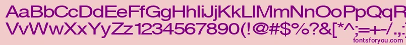 Svenings Font – Purple Fonts on Pink Background