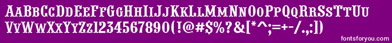 PresentumcpsnrRegular Font – White Fonts on Purple Background