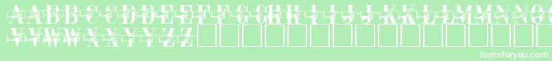 フォントPaquitoRegular – 緑の背景に白い文字