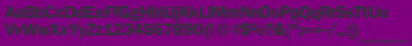 FranklingothicnewBold Font – Black Fonts on Purple Background