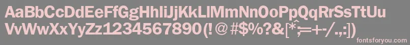 FranklingothicnewBold Font – Pink Fonts on Gray Background