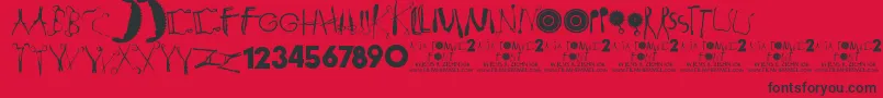 Anatomie2 Font – Black Fonts on Red Background