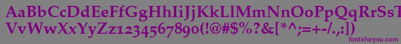 CriteriaOldstyleSsiBoldOldStyleFigures Font – Purple Fonts on Gray Background