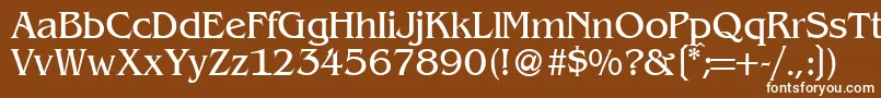フォントBenjaminserifRegular – 茶色の背景に白い文字