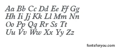 WorcesterserialBolditalic Font
