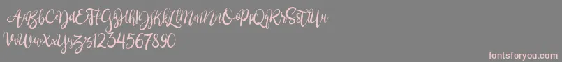 BrushgyoPersonalUse Font – Pink Fonts on Gray Background