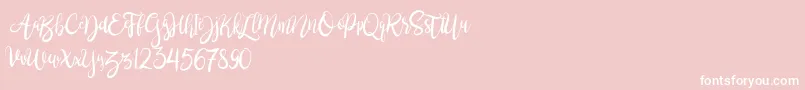 BrushgyoPersonalUse Font – White Fonts on Pink Background