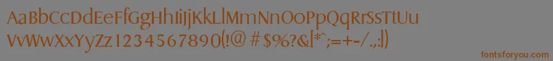 DragonserialLightRegular Font – Brown Fonts on Gray Background