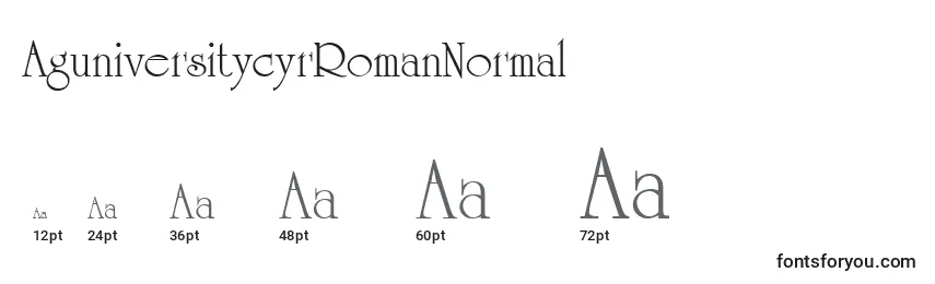 AguniversitycyrRomanNormal Font Sizes