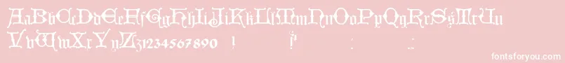 HollandischClosed Font – White Fonts on Pink Background