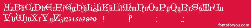 HollandischClosed-Schriftart – Weiße Schriften auf rotem Hintergrund