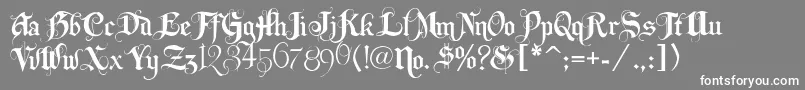 フォントLhfbeckermonogramenglish – 灰色の背景に白い文字