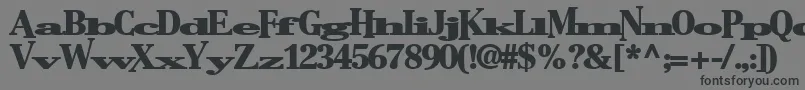 Bostonlifetoday1Bold Font – Black Fonts on Gray Background