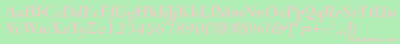 D690RomanBolditalic Font – Pink Fonts on Green Background